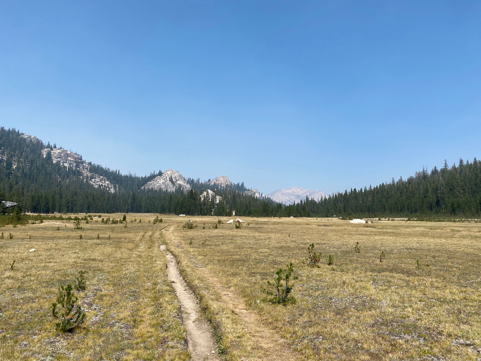 A large meadow with a trail.