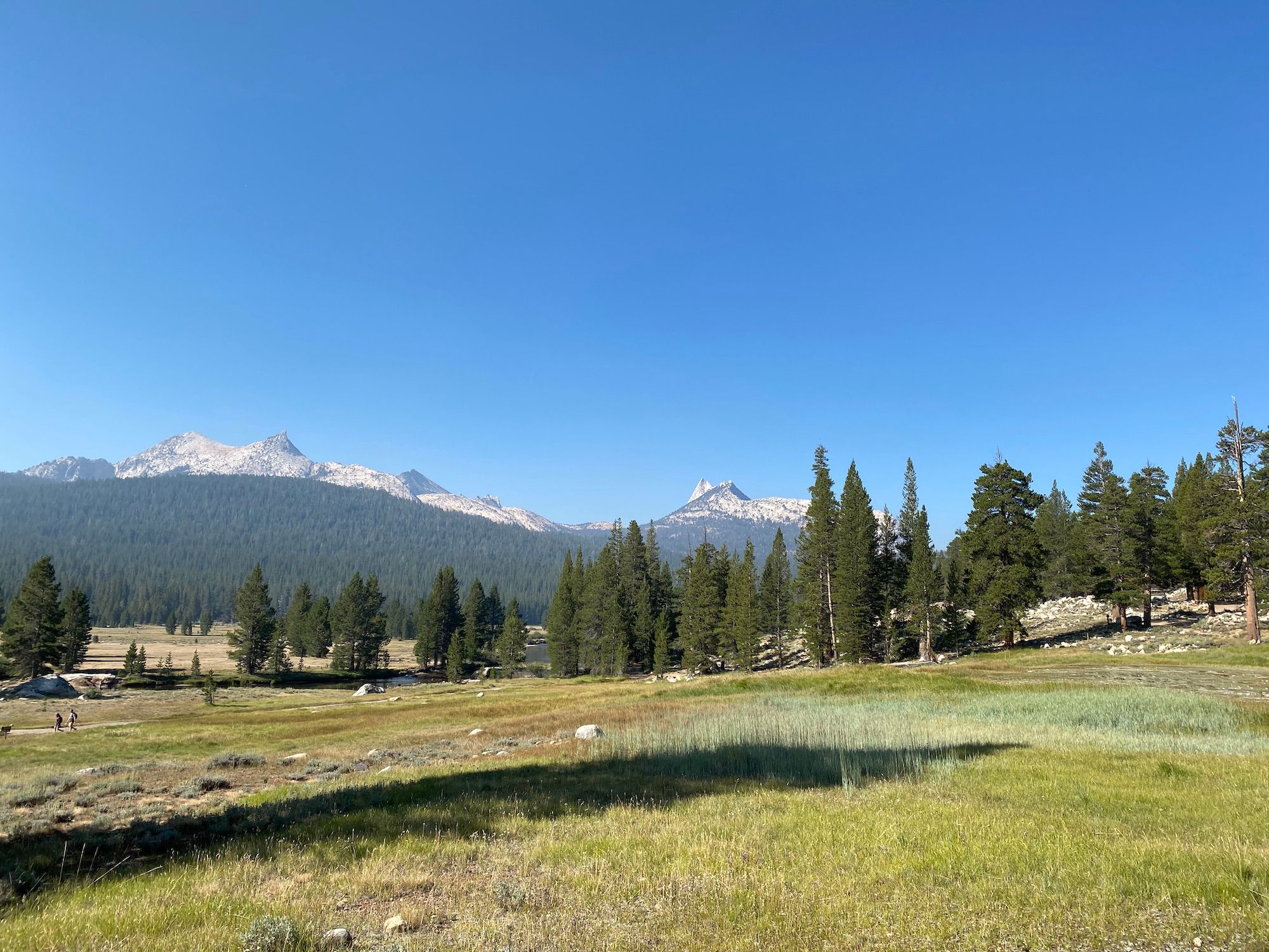 Tall mountain peaks behind a meadow.