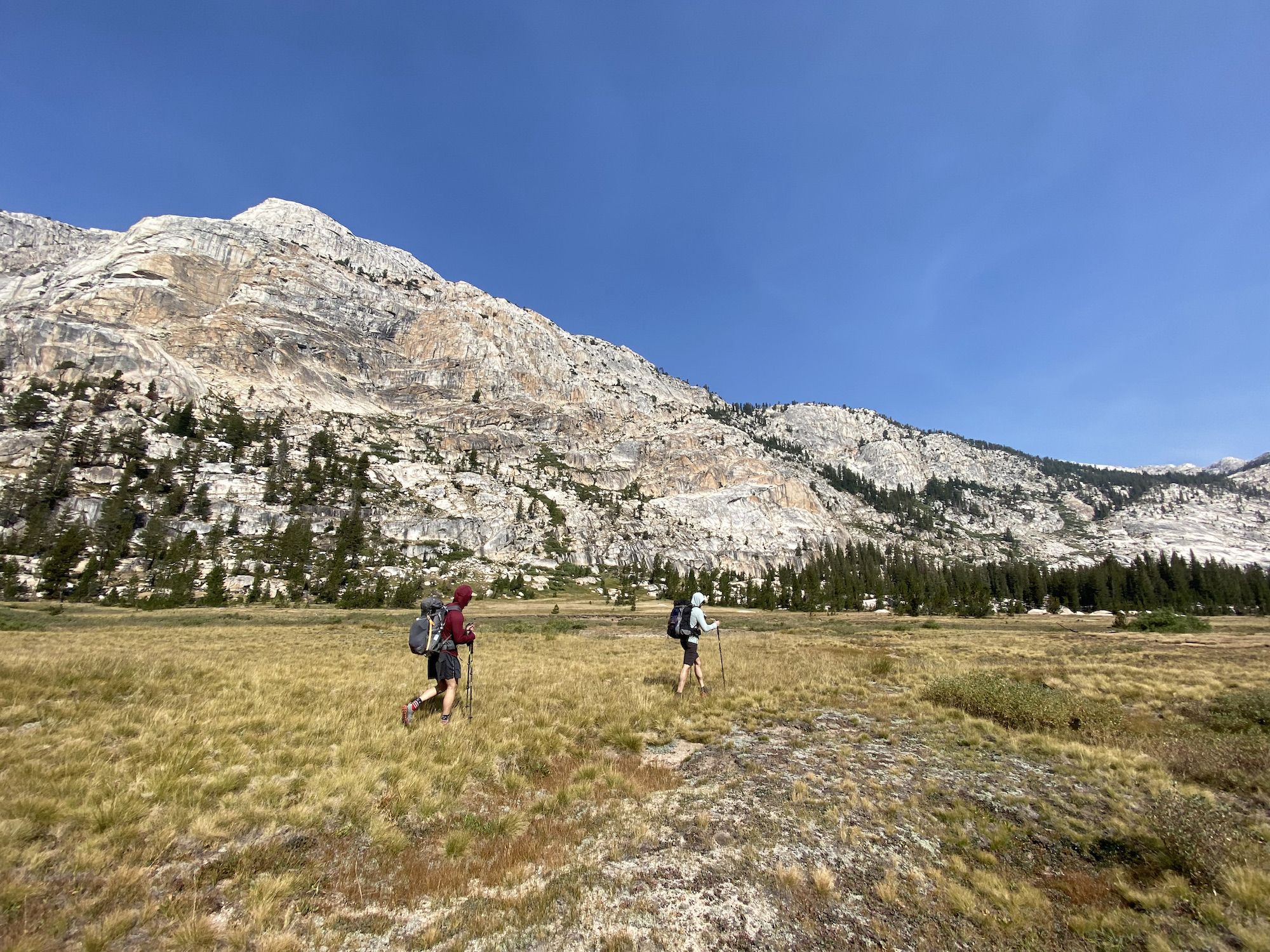 Two backpackers walking through a meadow in front of mountains.