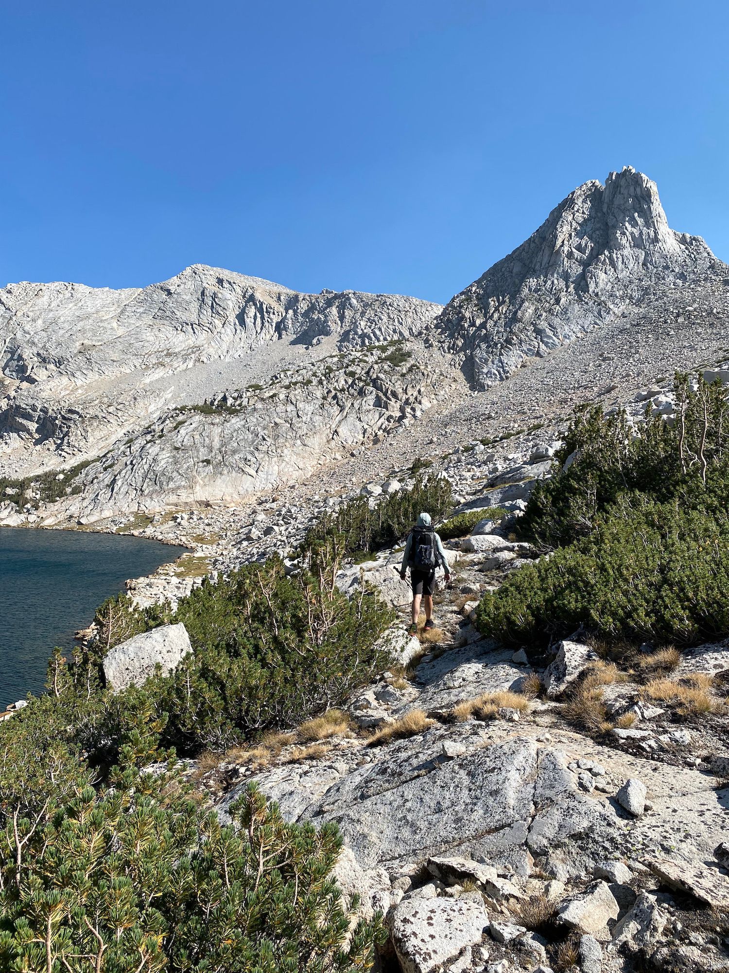 A man walking along low pine trees above an alpine lake.