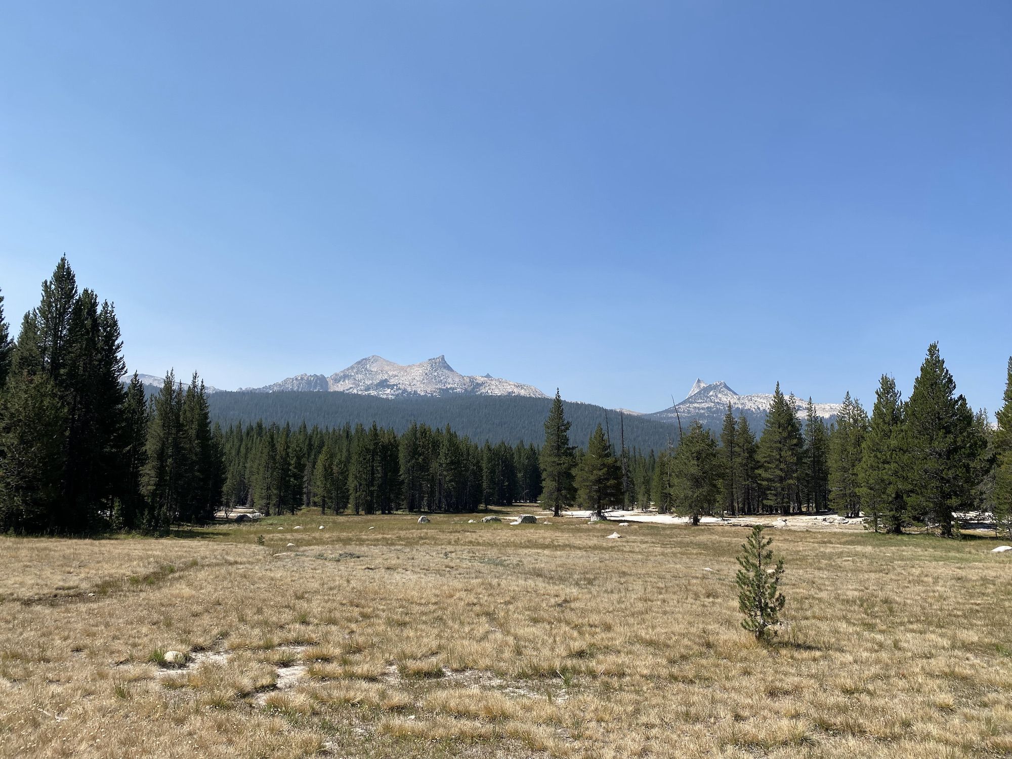 Tall, jagged peaks across a meadow.