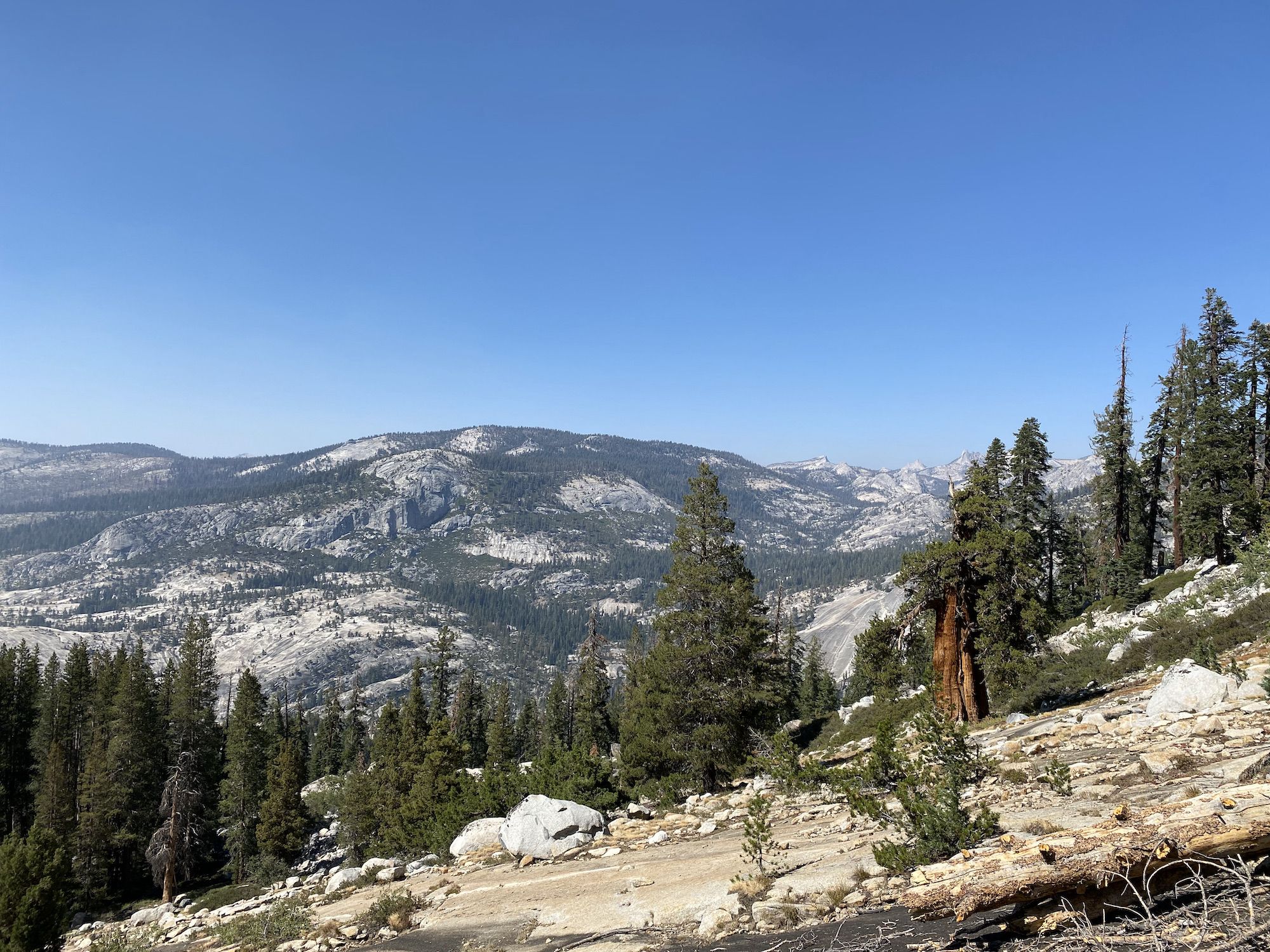 A view of granite mountains in the distance. In the foreground, a granite slab and juniper trees.