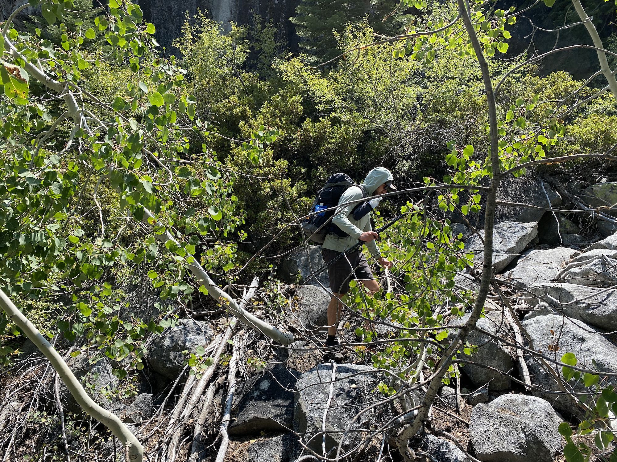 A backpacker pushing though thick bush and talus.