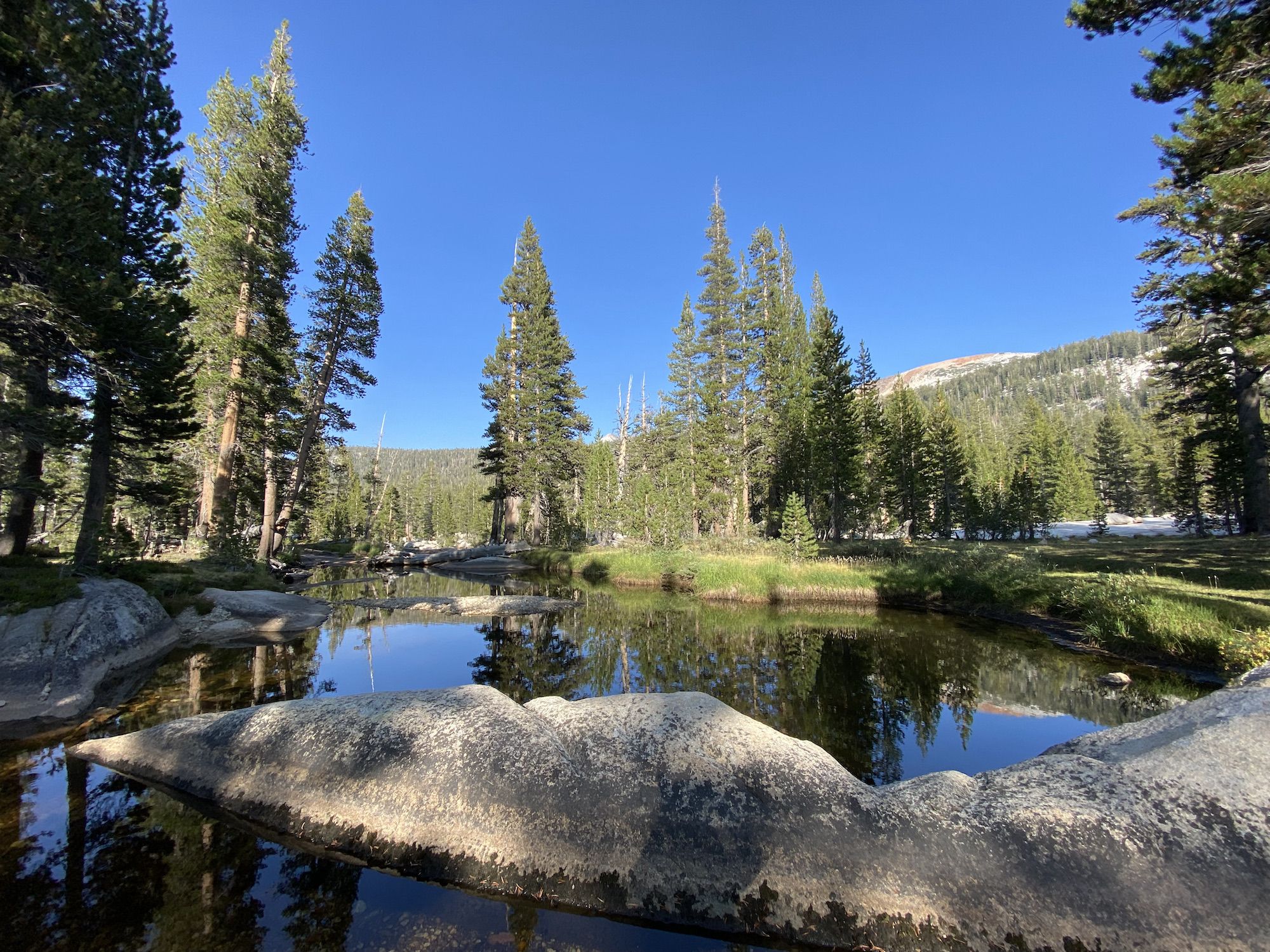 A creek where the water is standing still, with a meadow to the right.