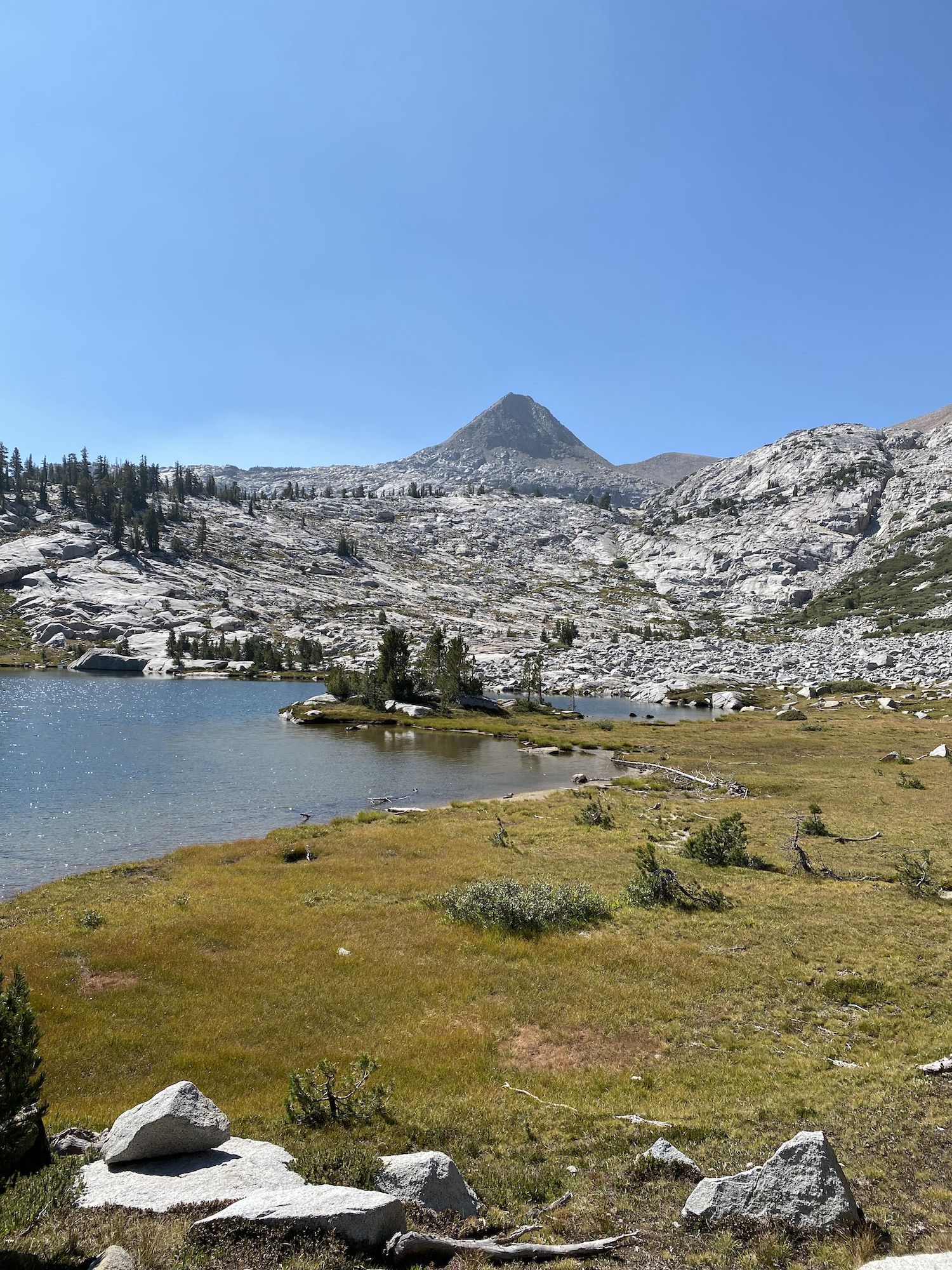 A small point on a lake with a few pine trees. A mountain pass behind.