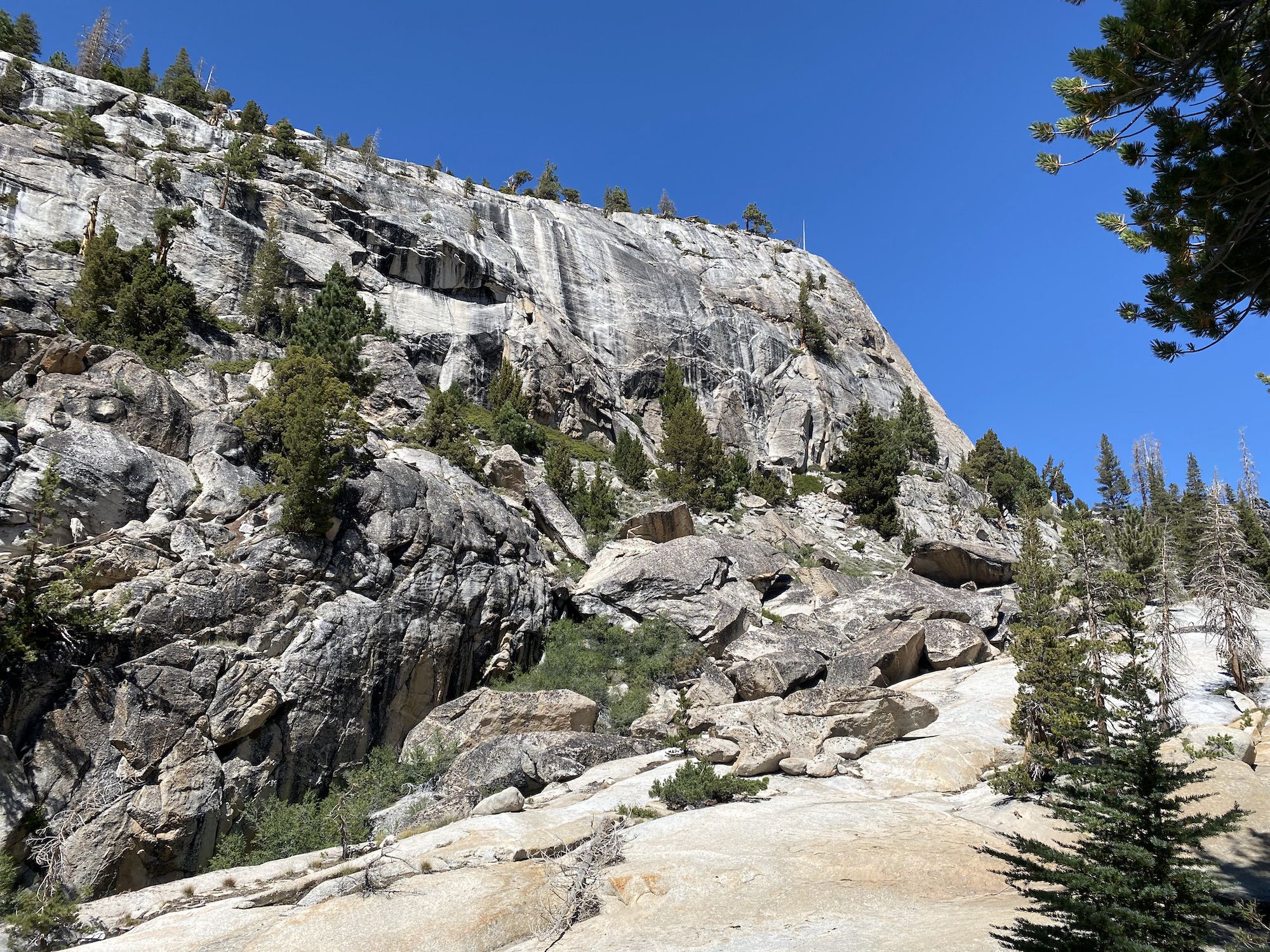 A sheer granite wall with juniper trees.