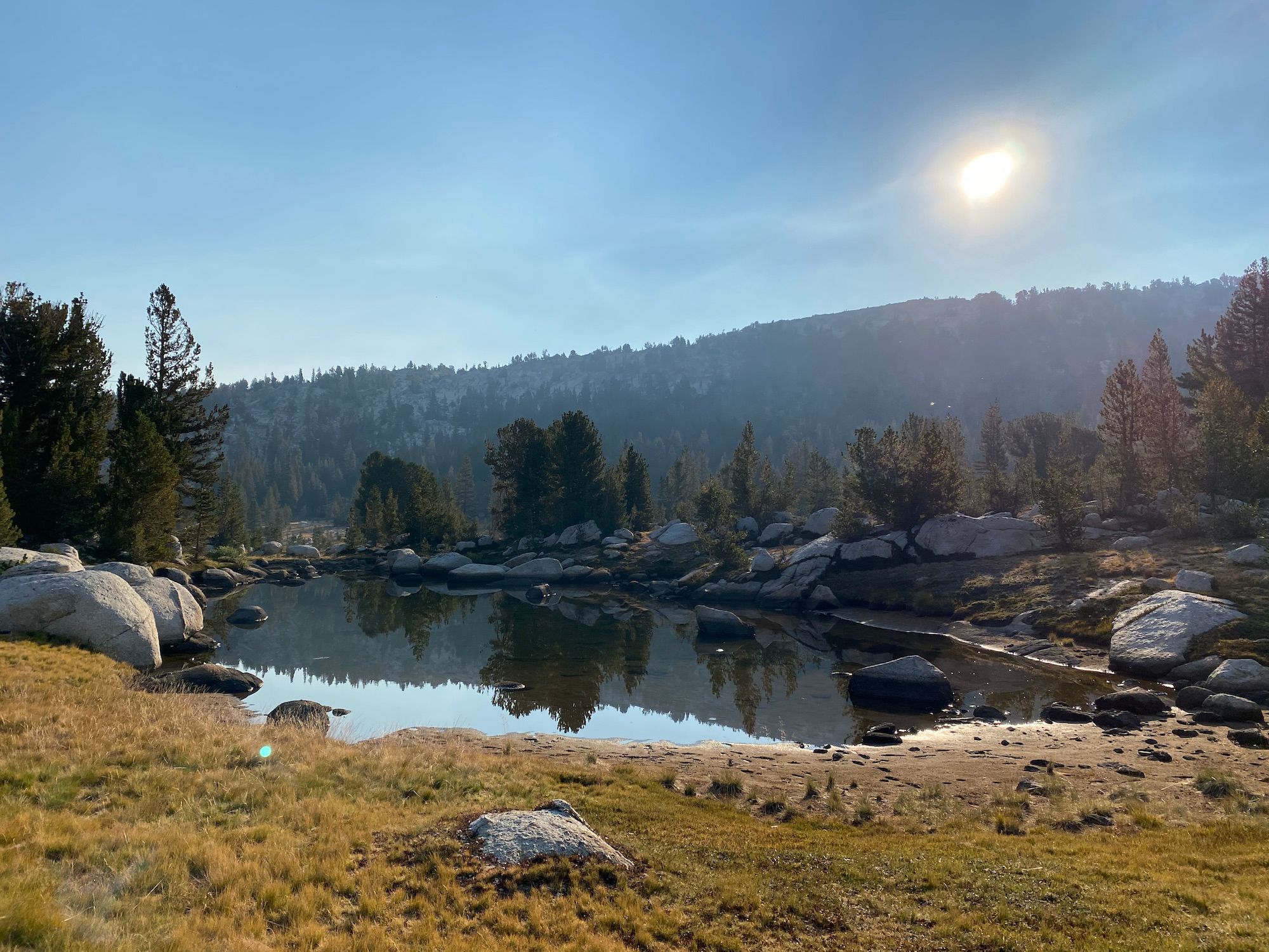 A small pond reflecting the morning sun.