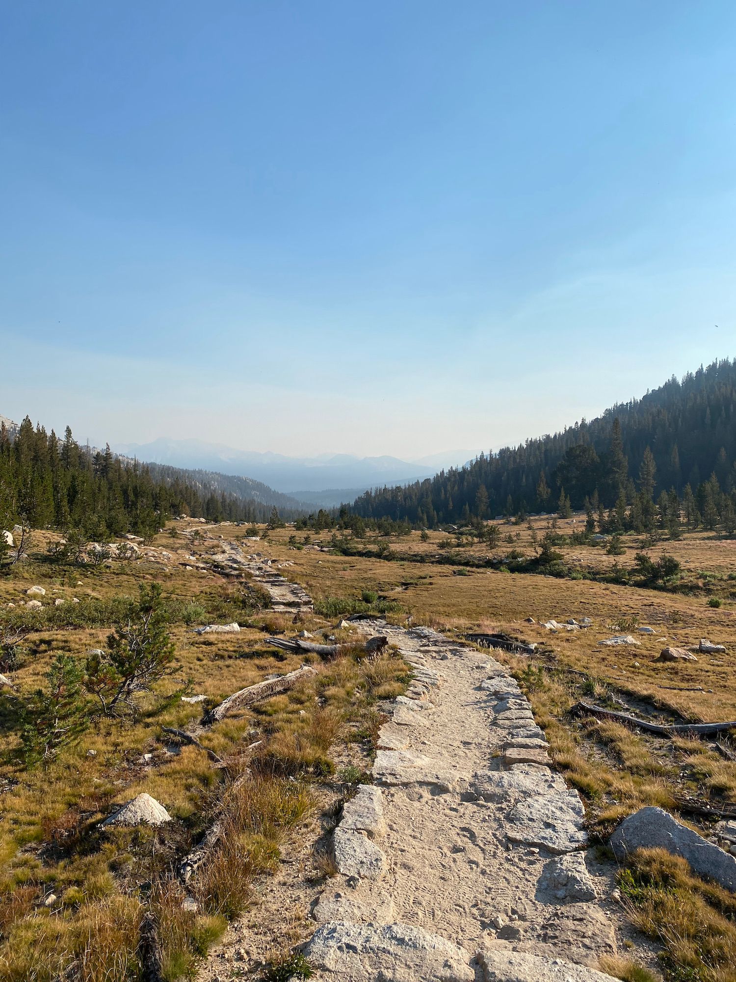 A long trail through a meadow. 