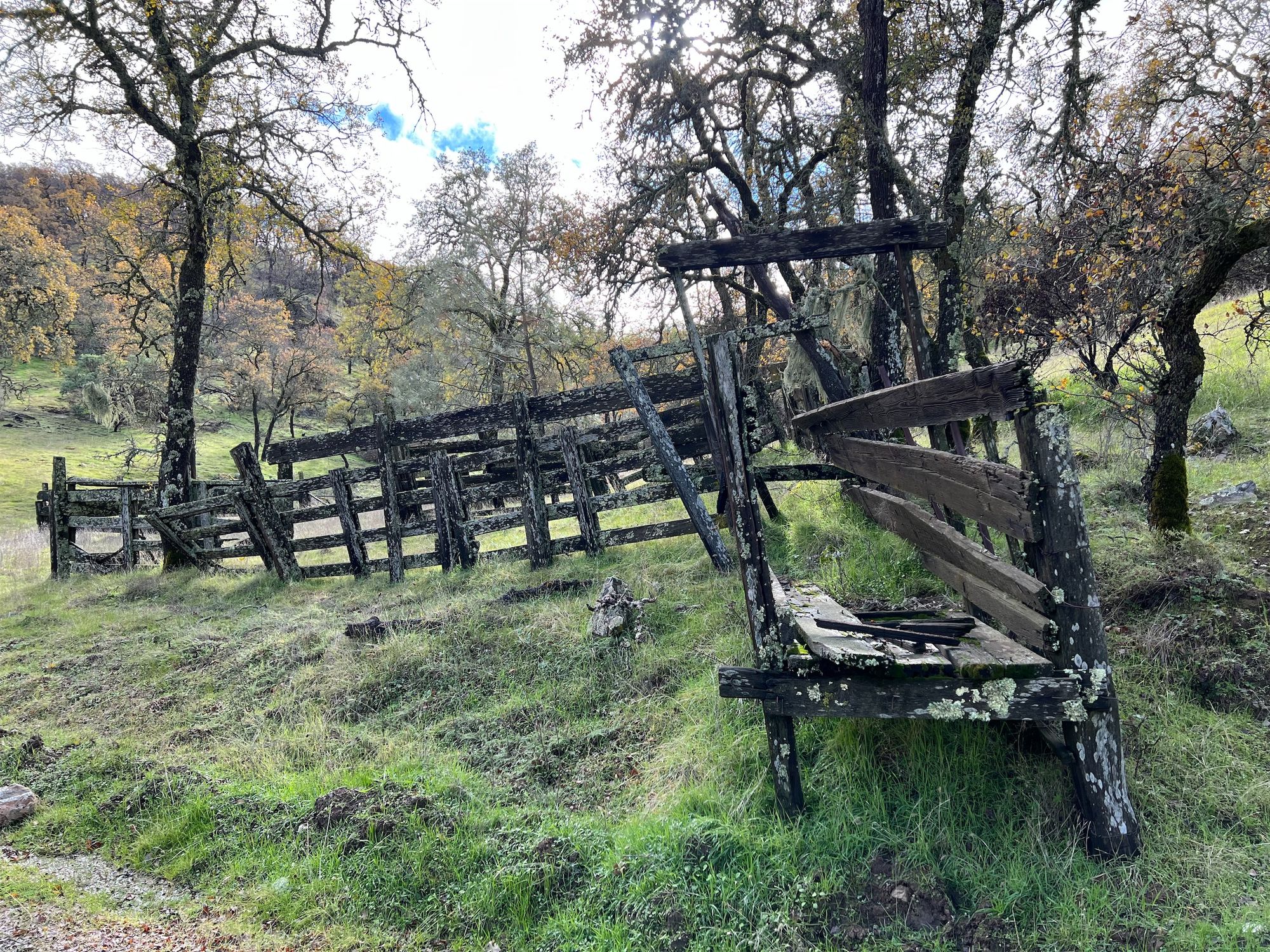 A dilapidated cattle corral.