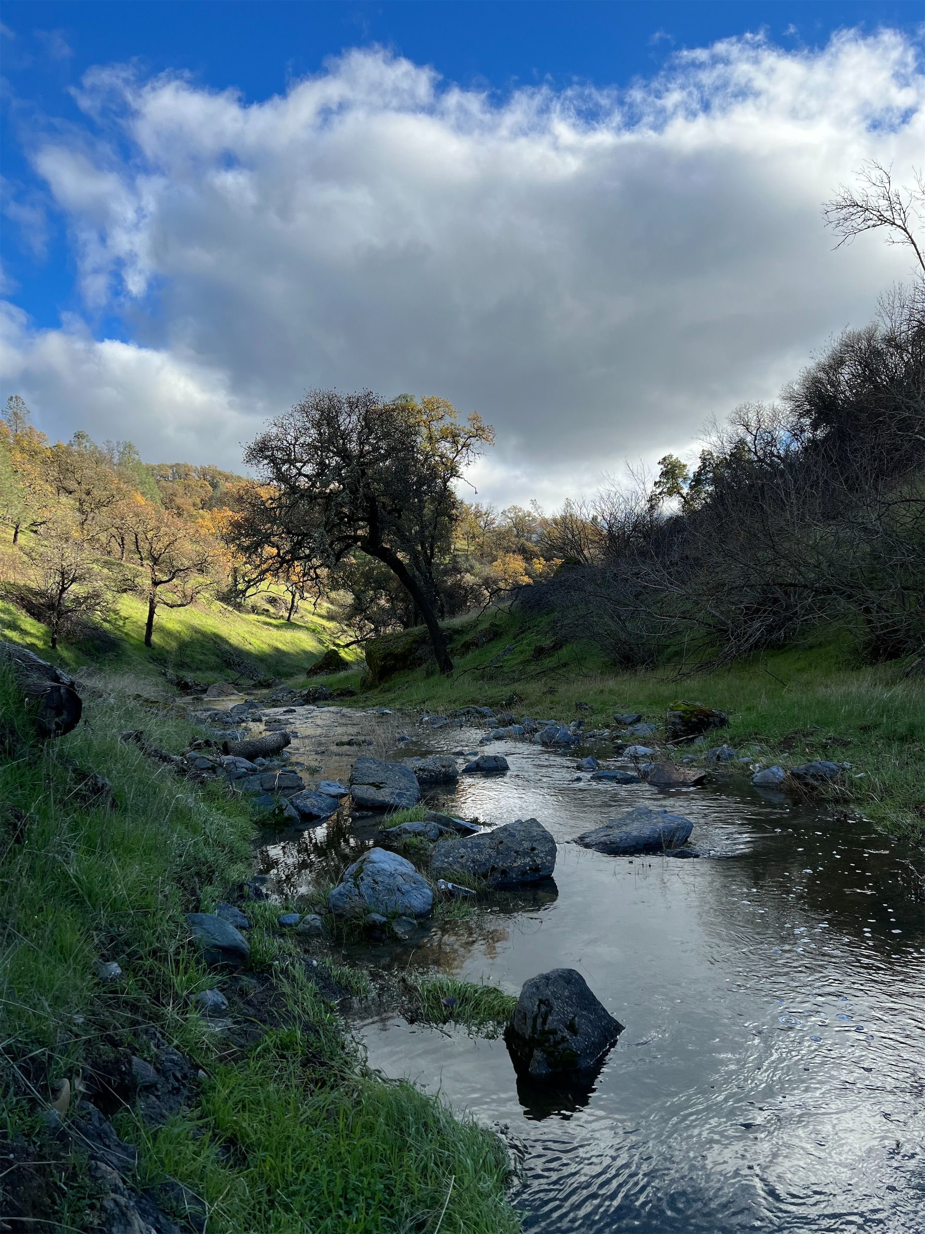 A small, rocky creek.