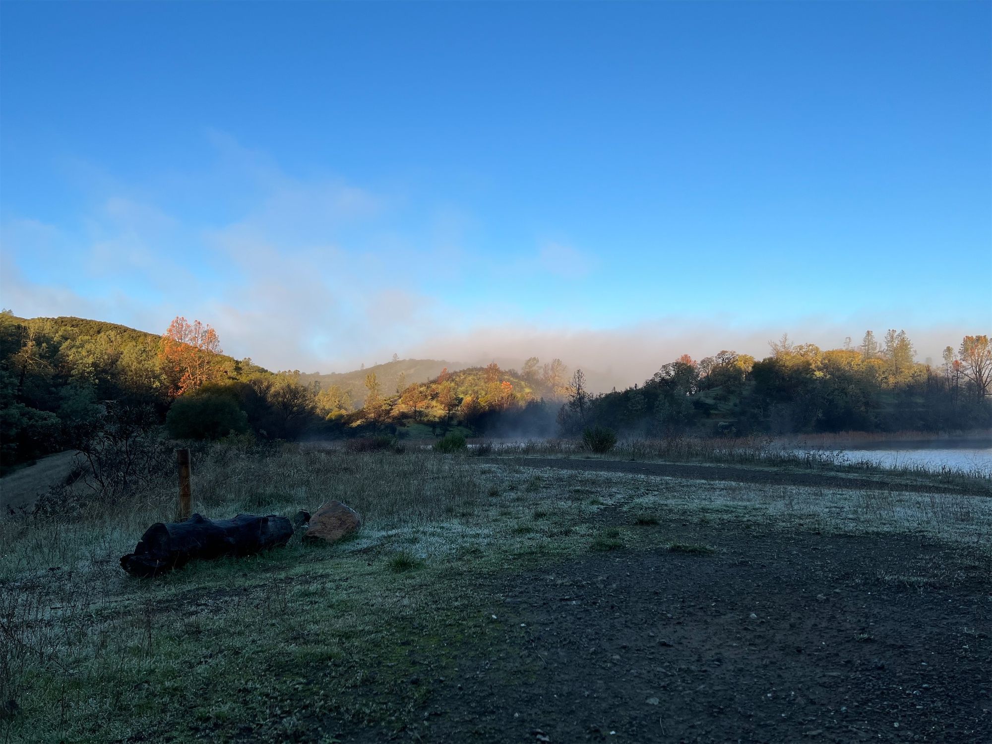 Frosty grass in the foreground, fog in the background.