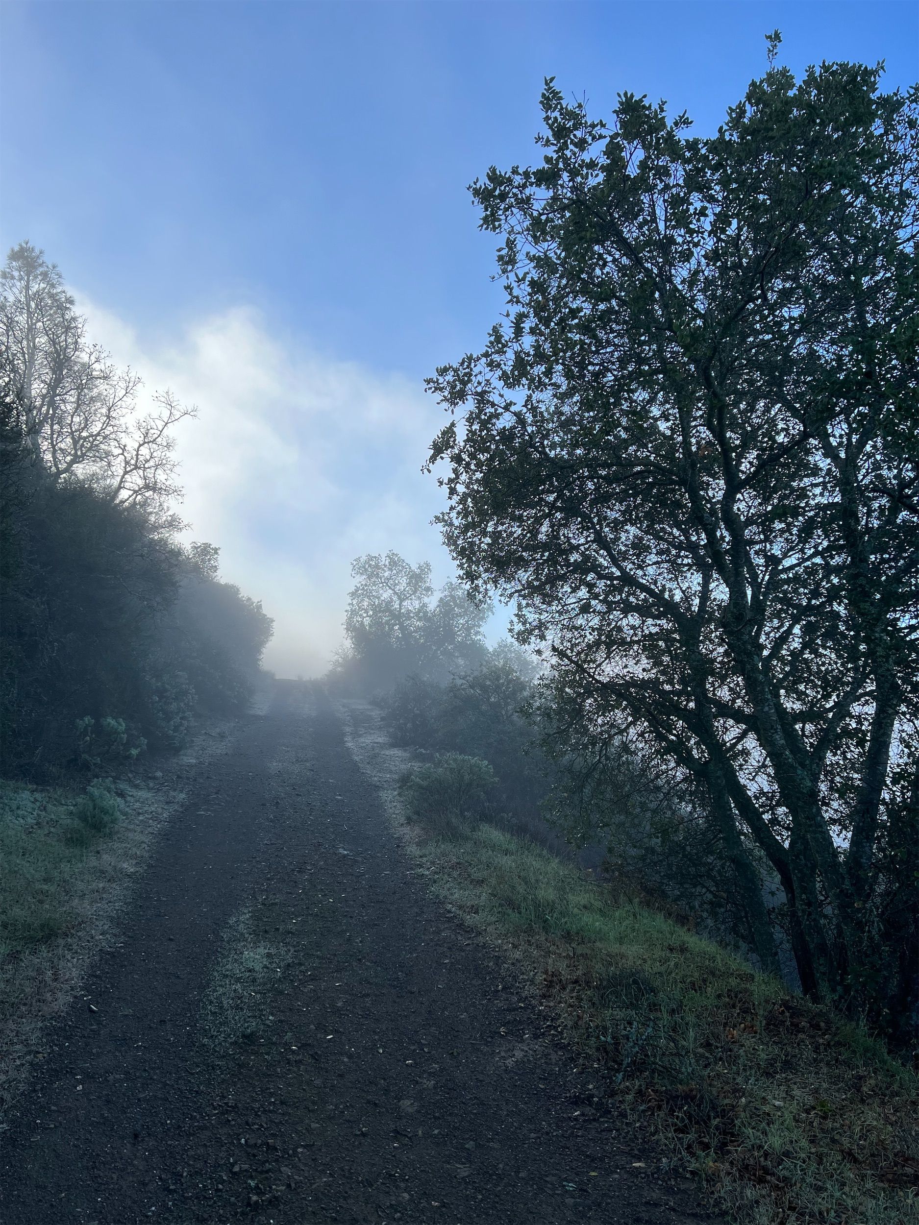 A steep dirt road with dense fog.