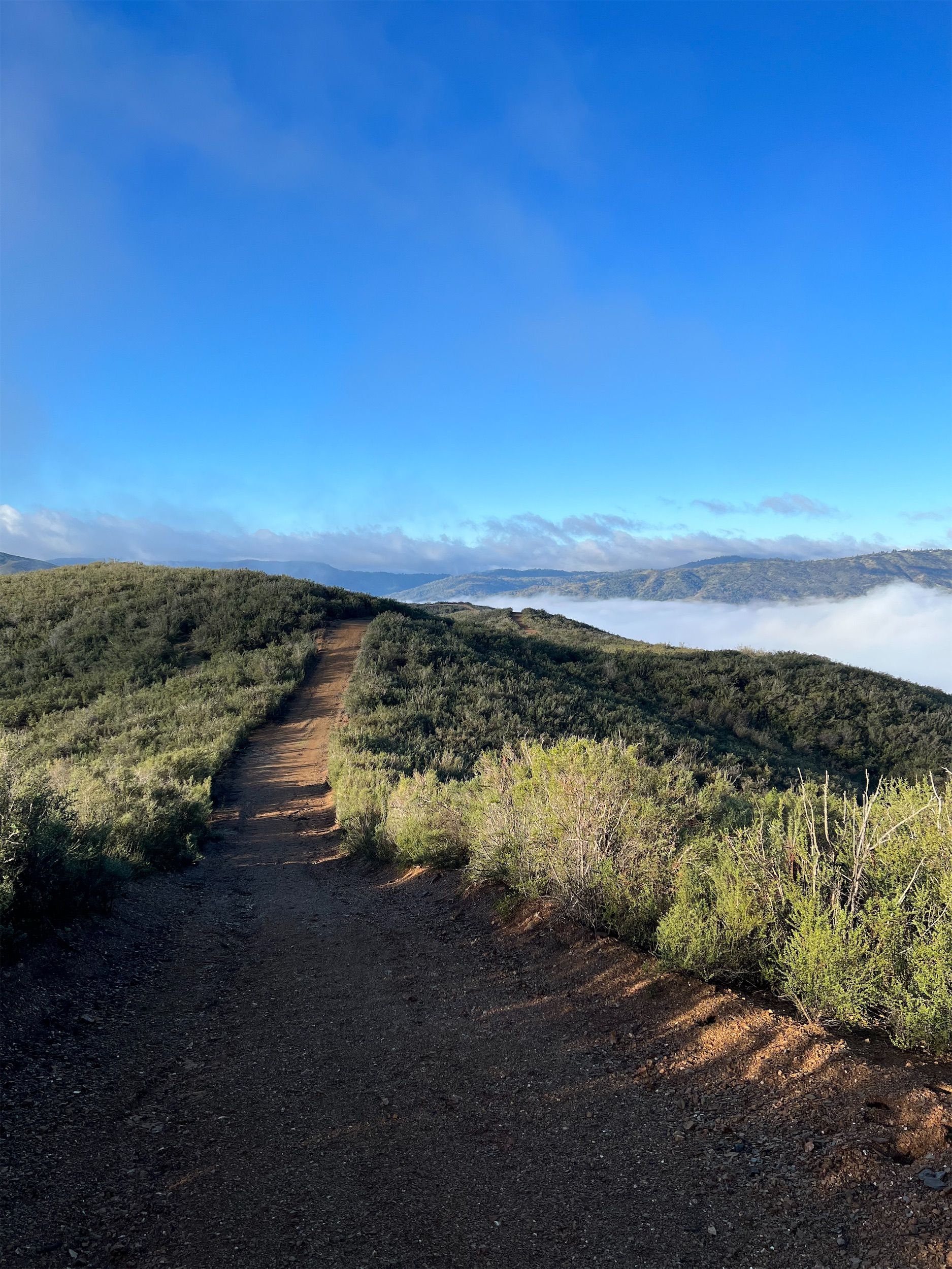 A dirt road heading down into fog.