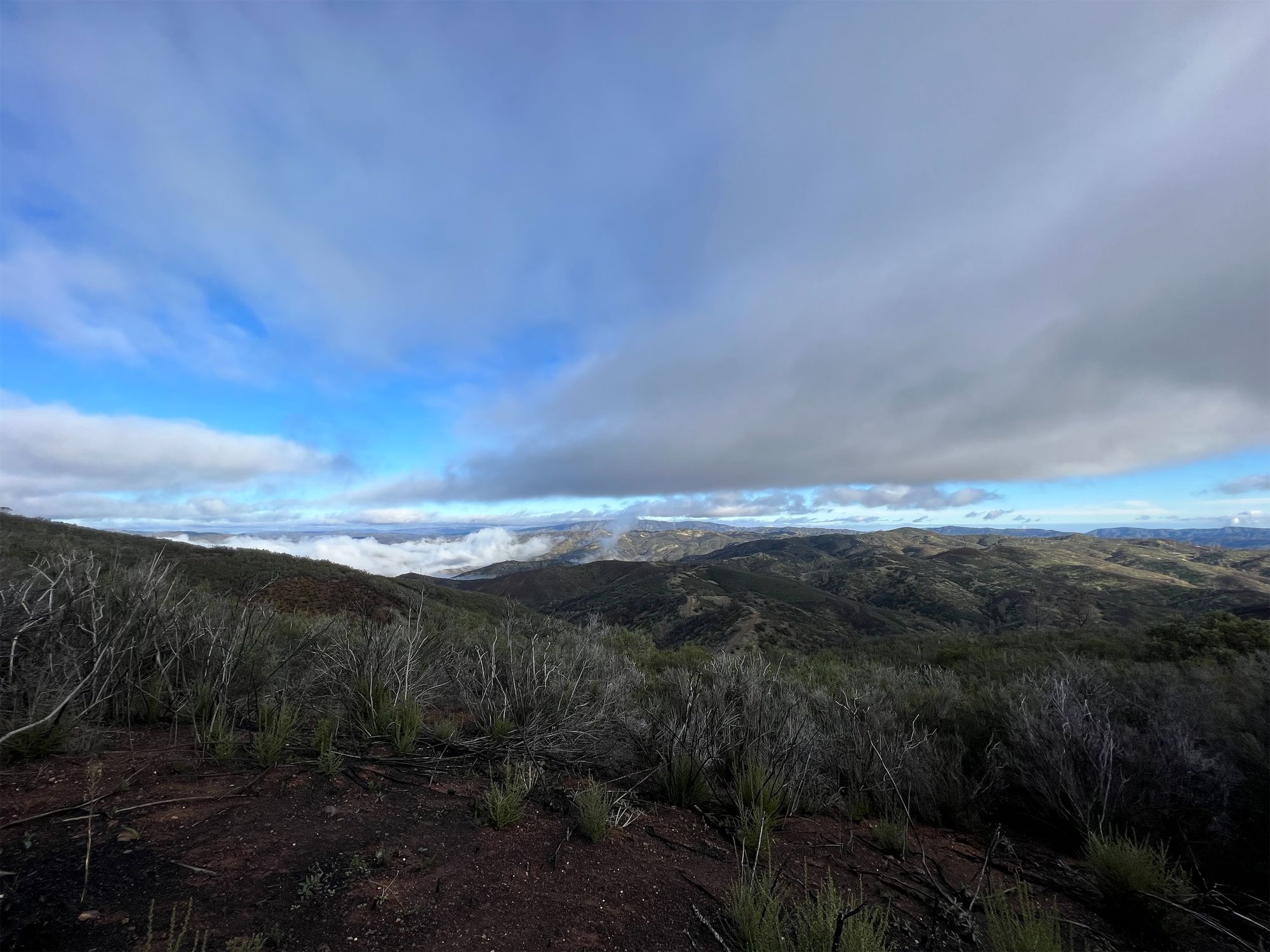 Burned bushes in the foreground, mountain ranges in the distance.