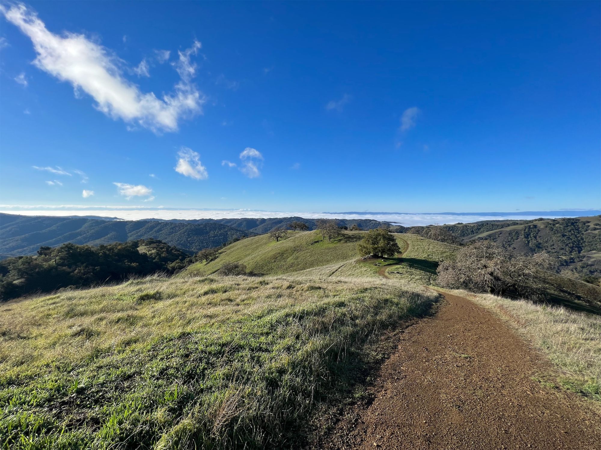 A dirt road through green rolling hills, above the clouds.
