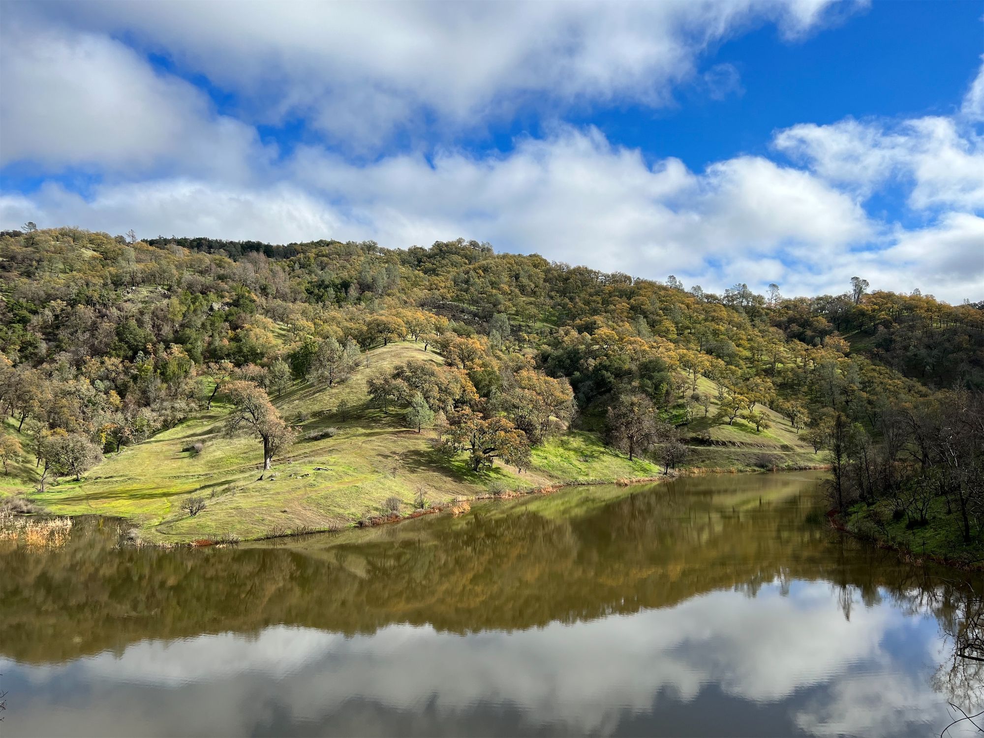 A calm lake reflecting the rolling oak hills on the other side.
