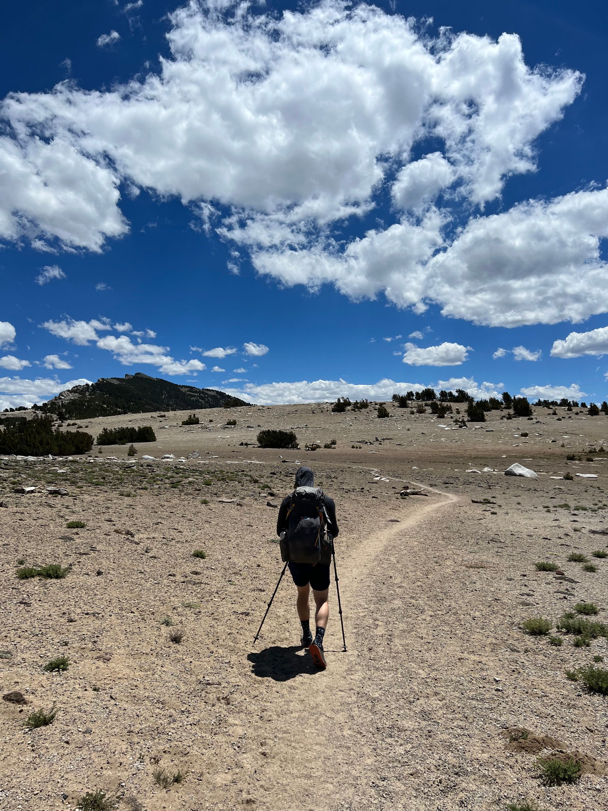 A man walking along a sandy landscape with bushes.