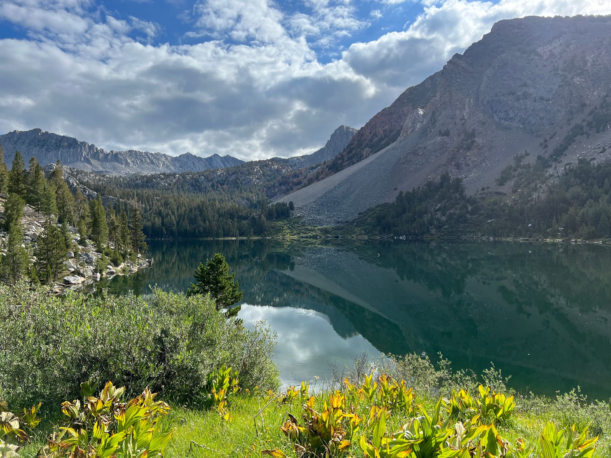 Light reflecting off a calm lake