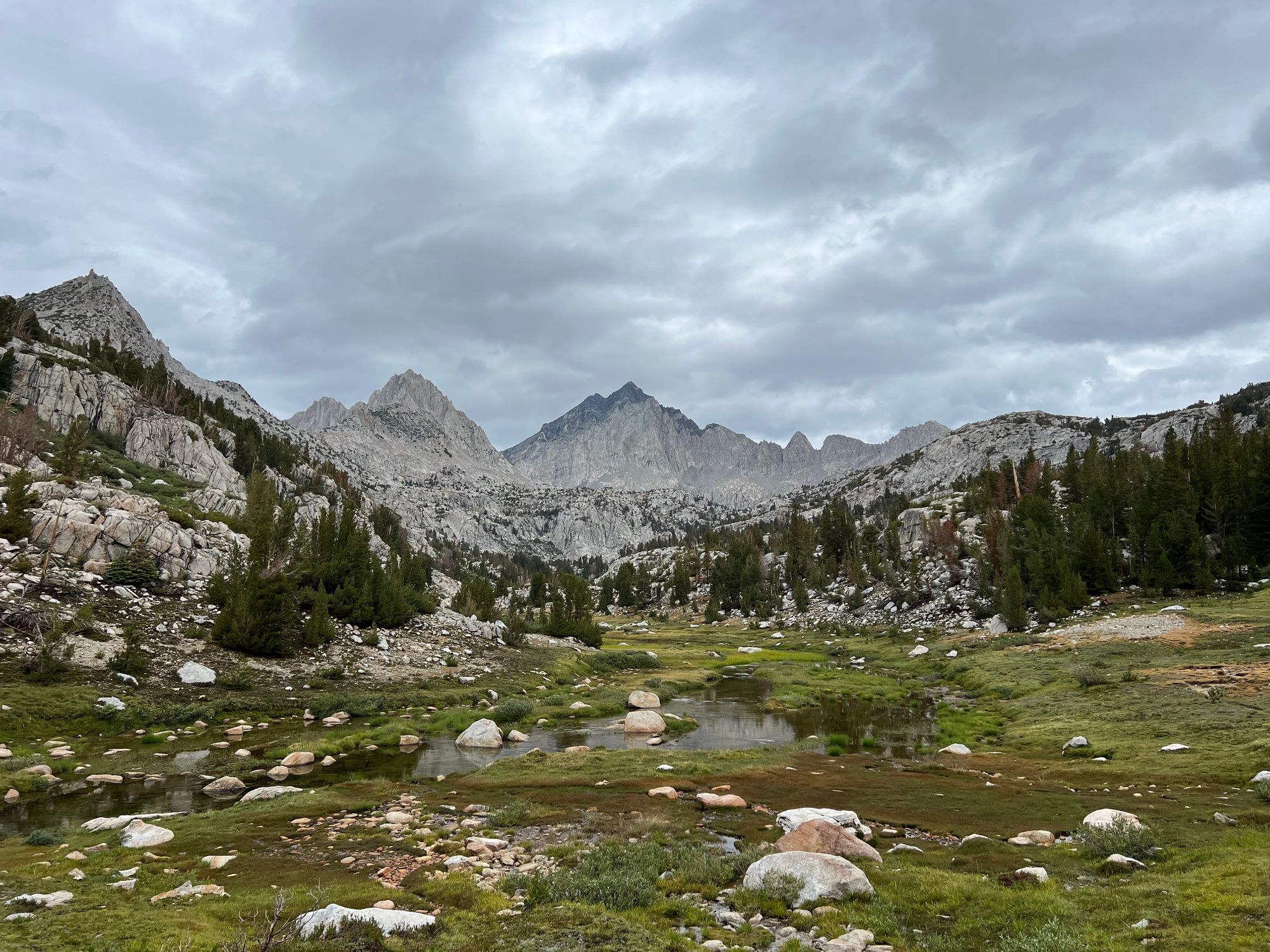 An overflowing creek though a mountain meadow.