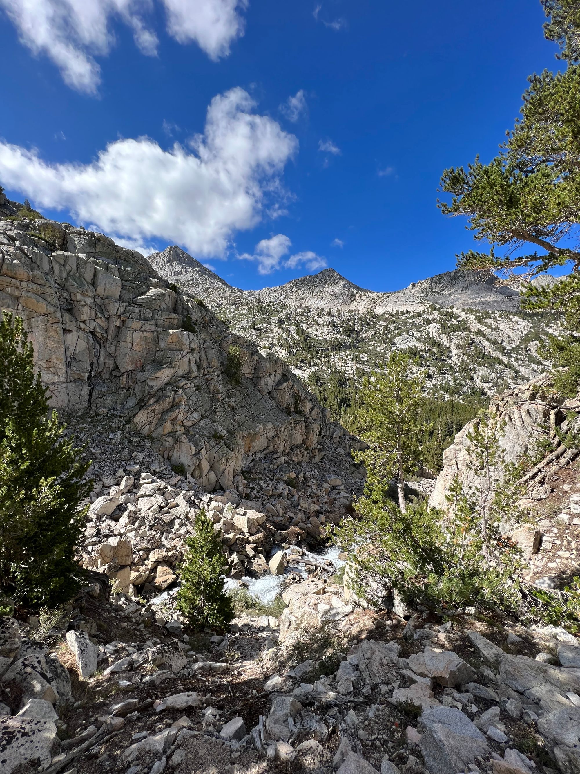 A creek deep down in a rocky ravine.