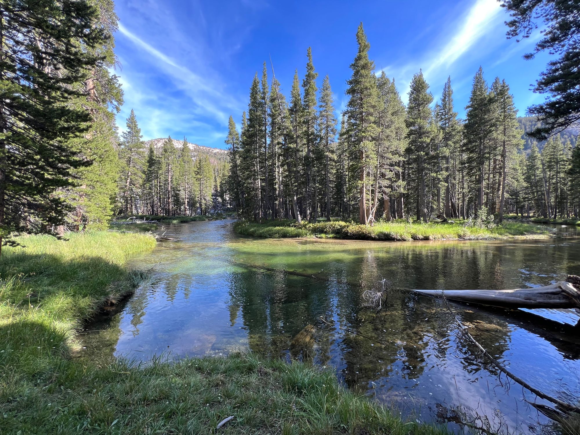 A deep creekbend with a log in the water.