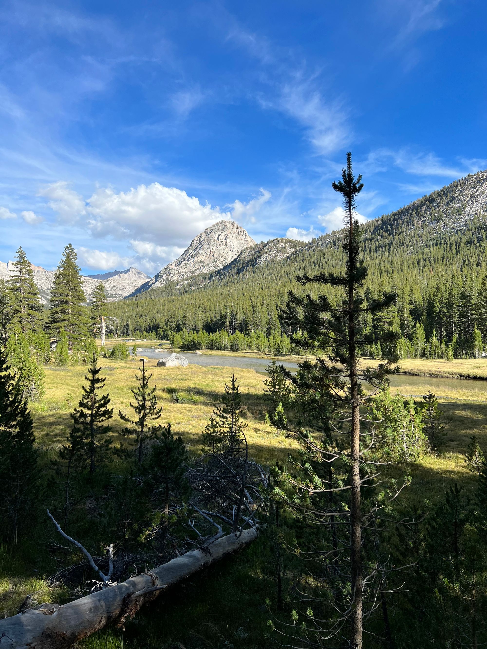 A meadow with a stream, mountains in the distance. 