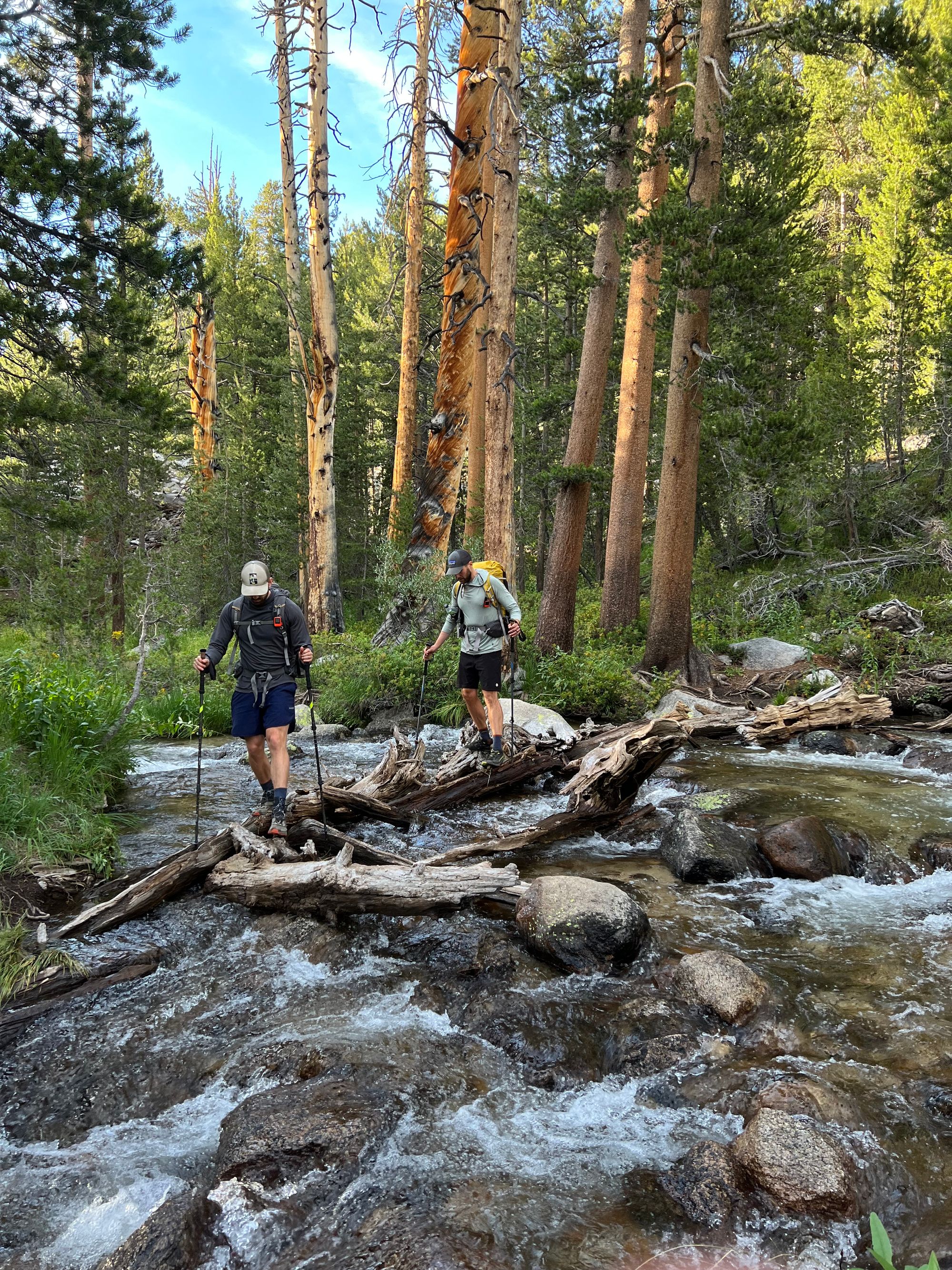 Two backpackers walking over a logjam.