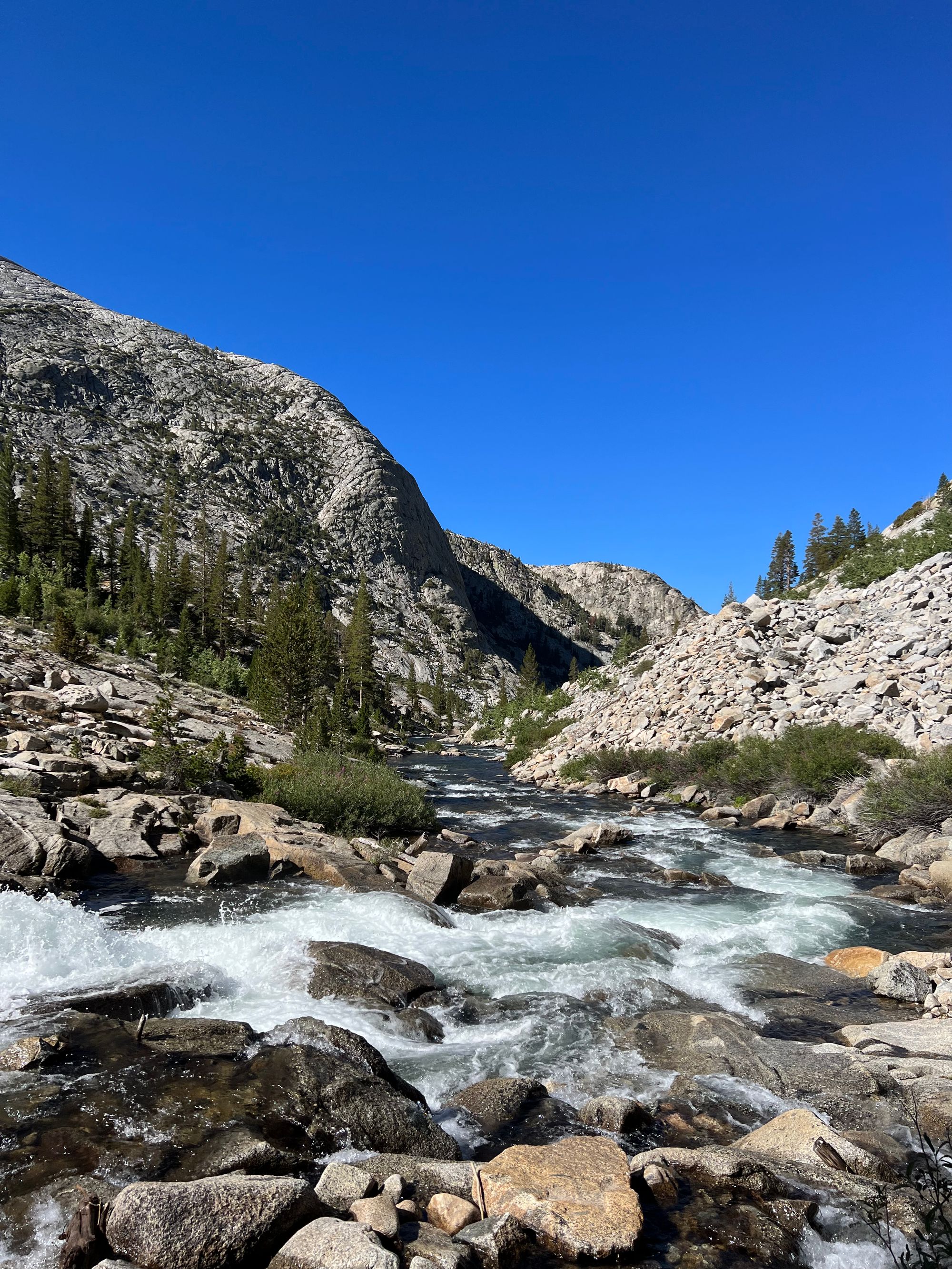 A creek flowing over boulders.