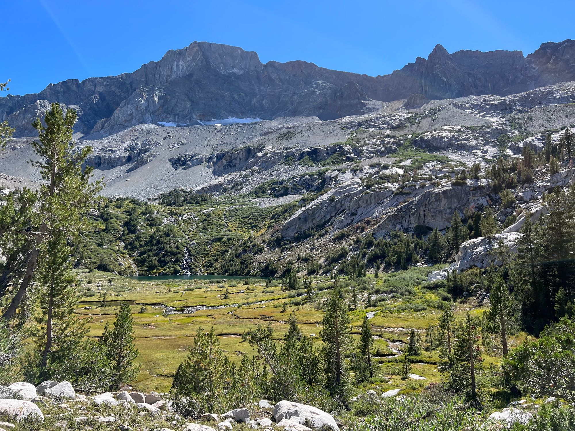 A meadow with several streams, fed by melting snow from a mountain above.
