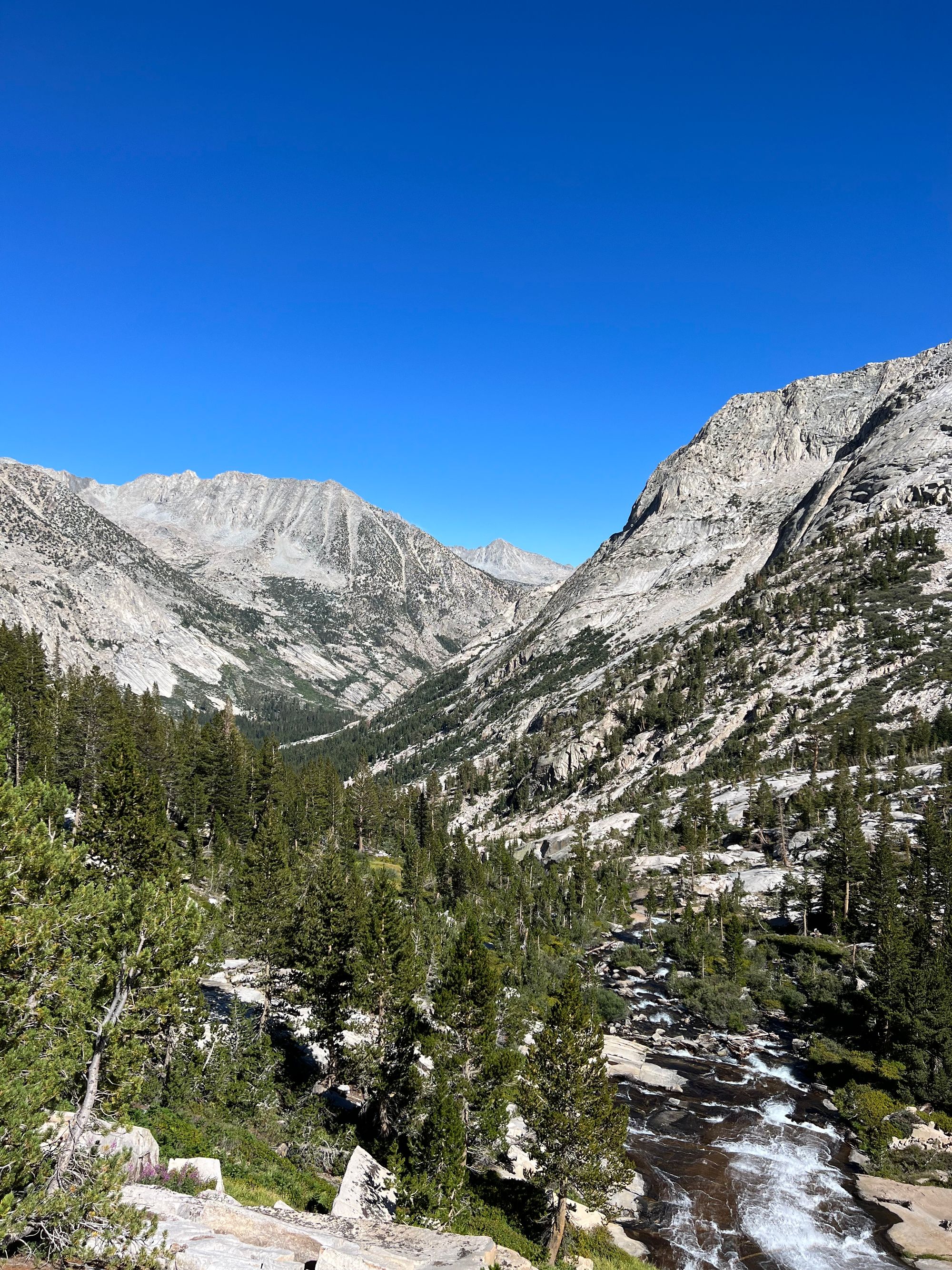 A deep mountain canyon with a creek.