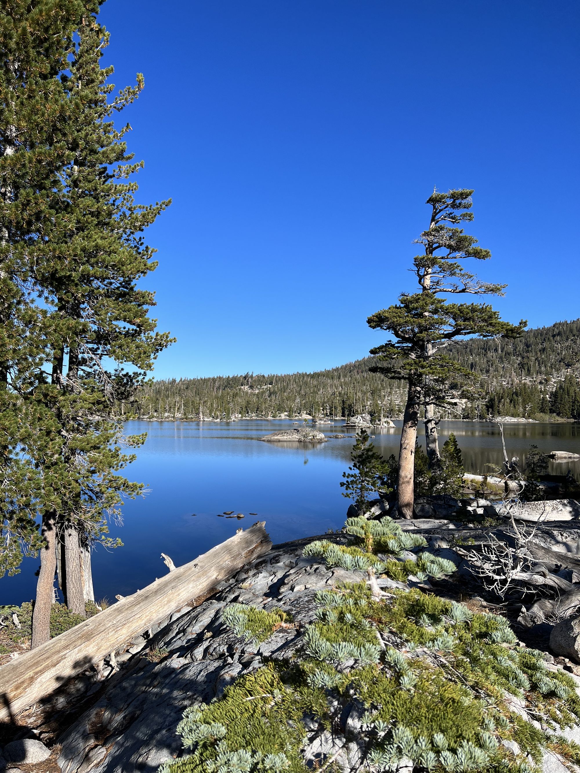A lake with small, rocky, islands. 