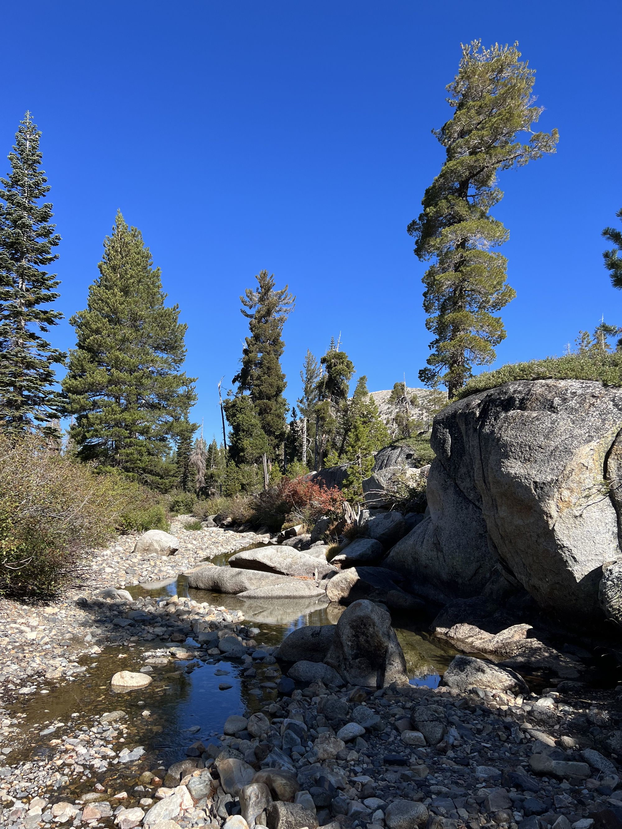 A river bed with a few puddles.
