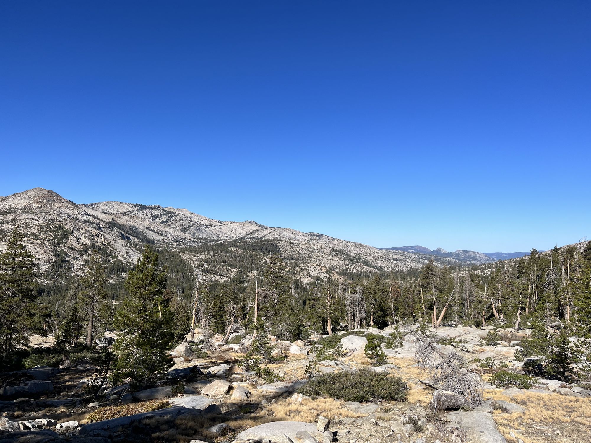 A valley with forest at the bottom and rocky mountains on the other side.