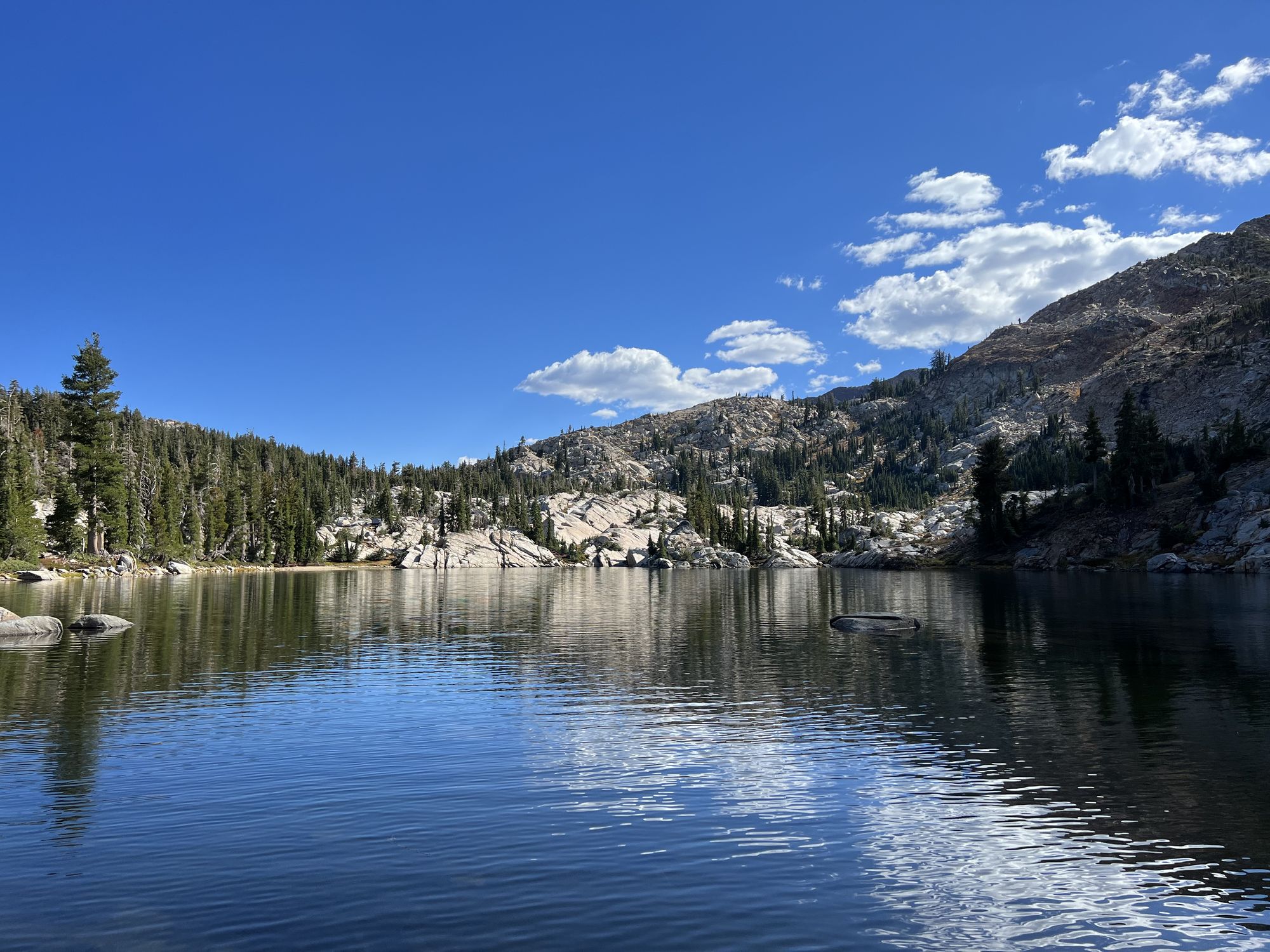 A lake surrounded by forest on the left side and mountains on the right side.