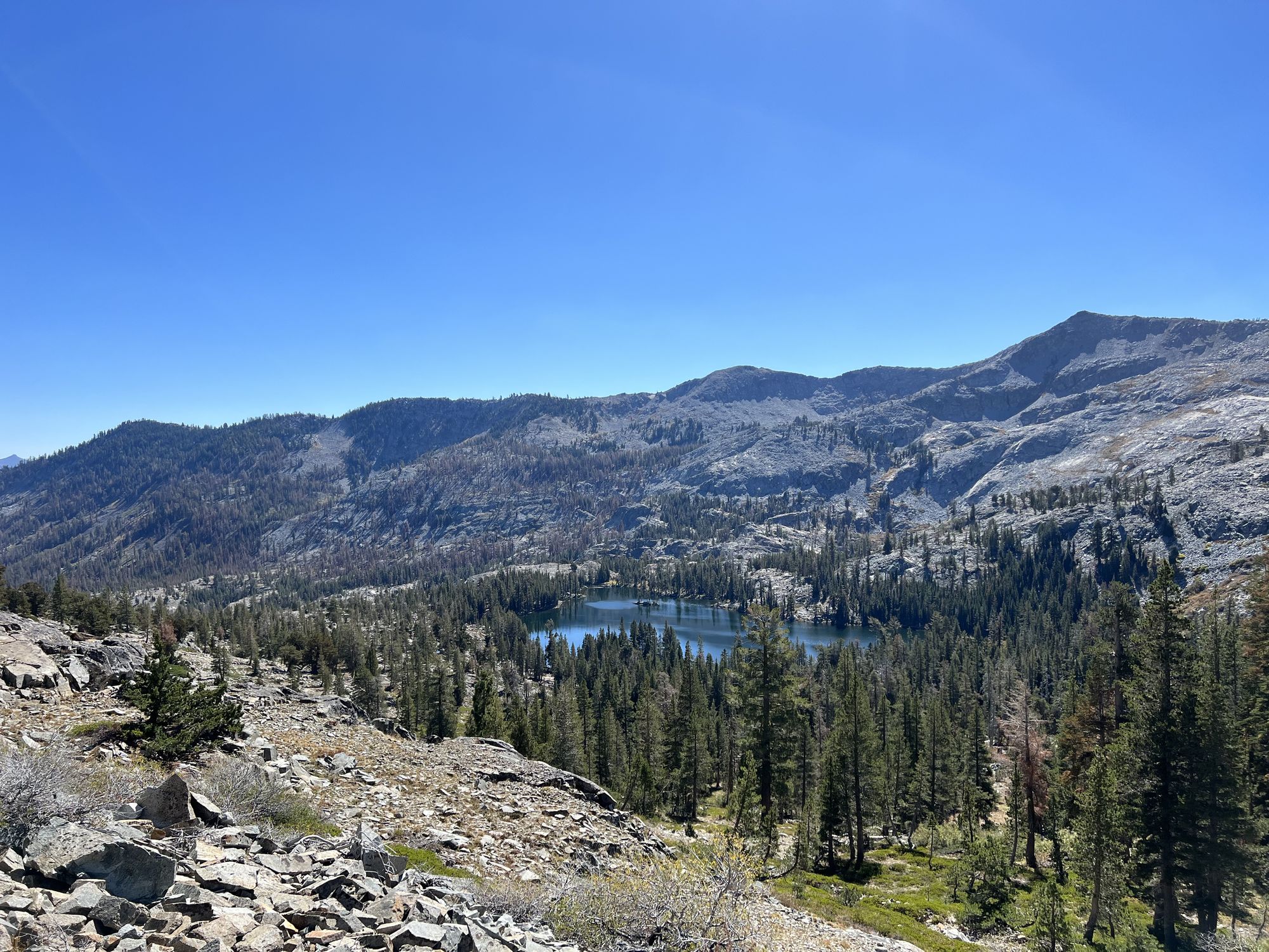 A lake surrounded by forest and tall mountains.