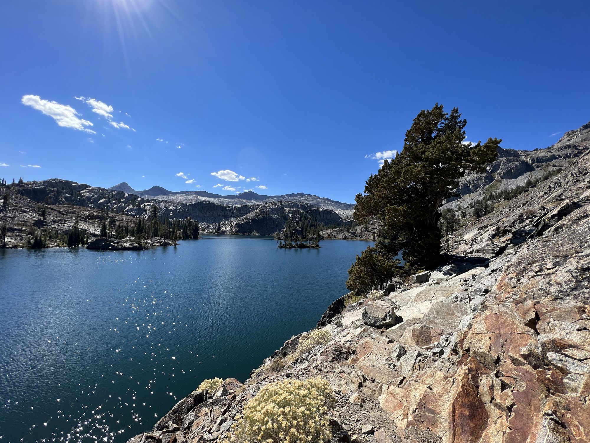 The sun reflecting off small ripples on a lake. A Juniper tree grows right on the steep rocky shore.