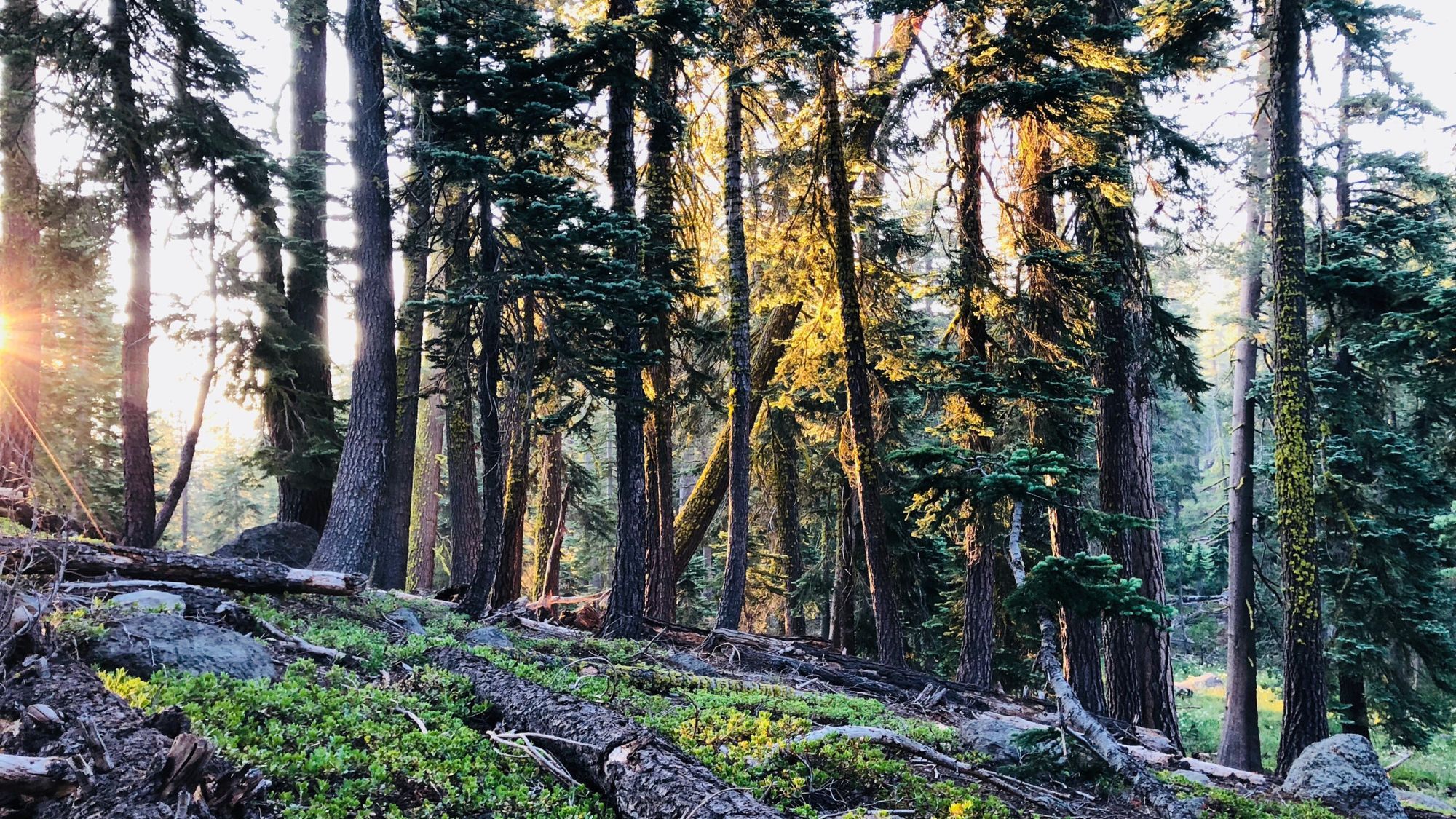 TRT: Watson Lake to Relay Peak