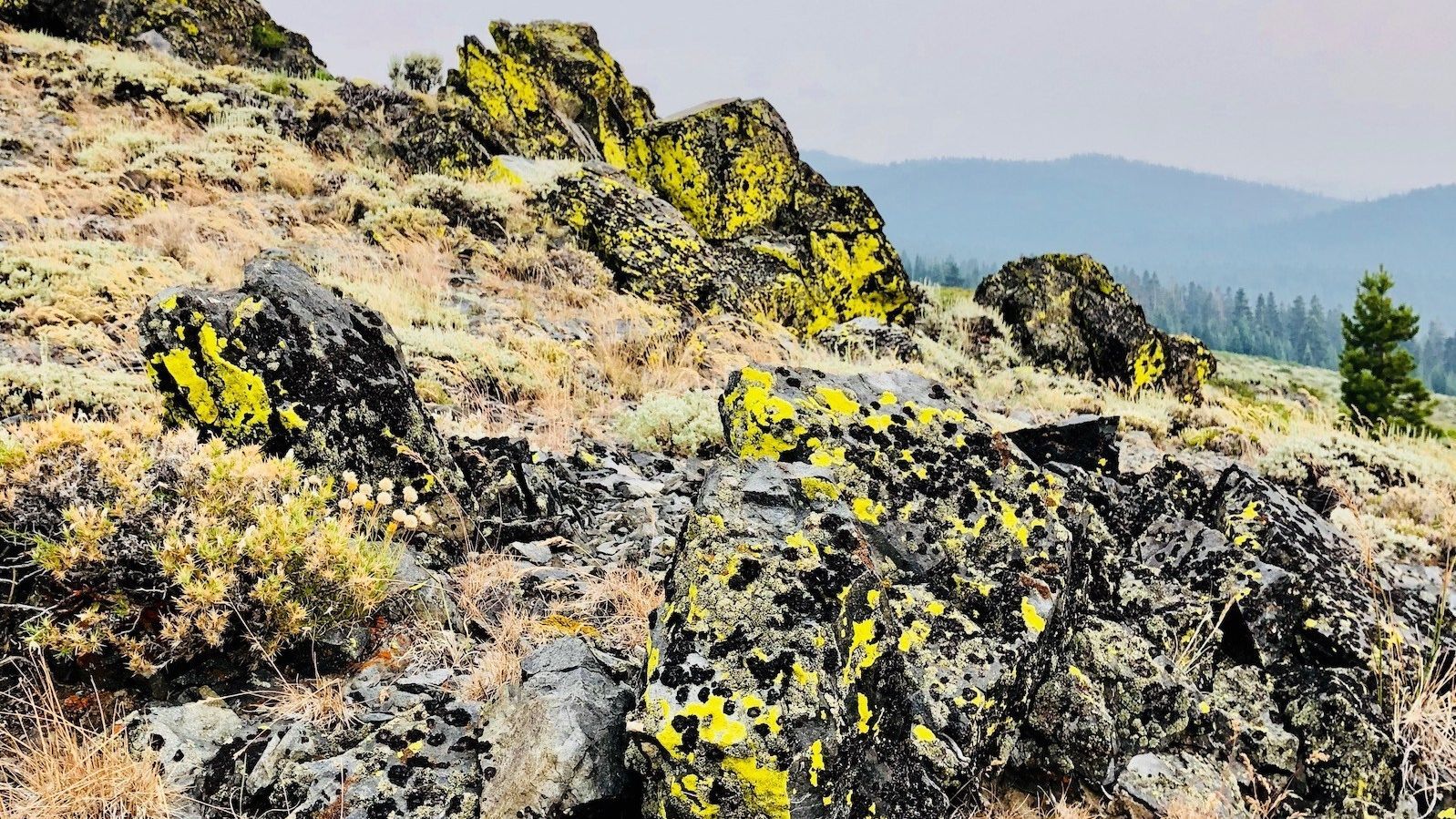 TRT: Marlette Campground to South Camp Peak