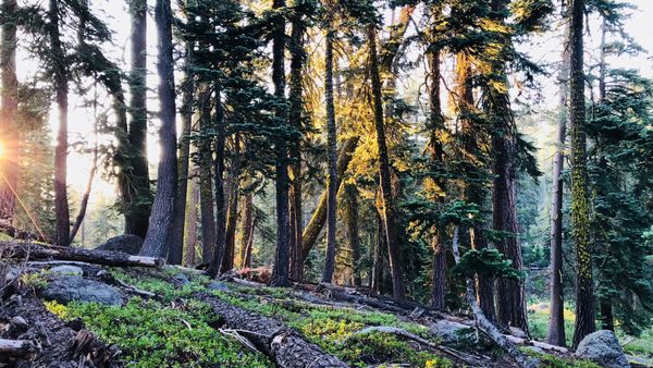 TRT: Watson Lake to Relay Peak