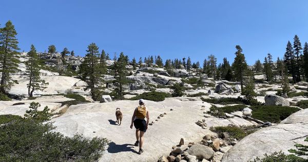 4 dog-friendly day hikes near South Lake Tahoe