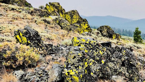 TRT: Marlette Campground to South Camp Peak