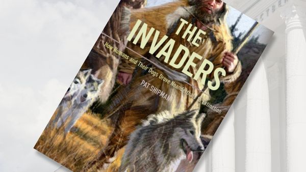 ESSENTIAL READING | Ancient, Real Lessons