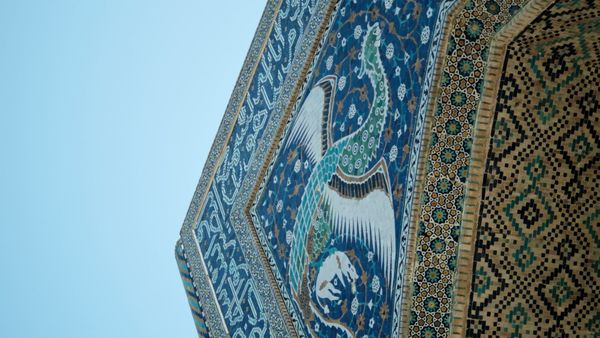 Persian Phoenix?