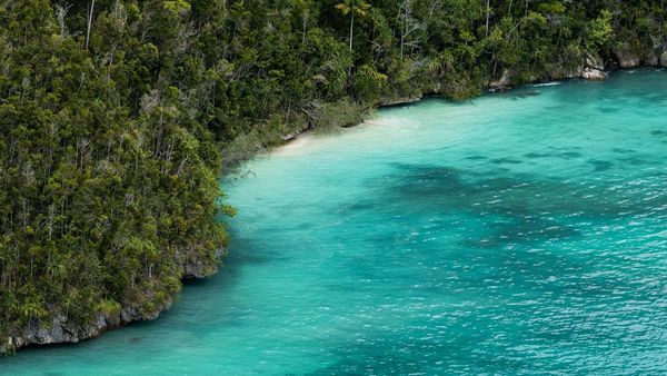 The Indo-Pacific: The Question of West Papuan Independence
