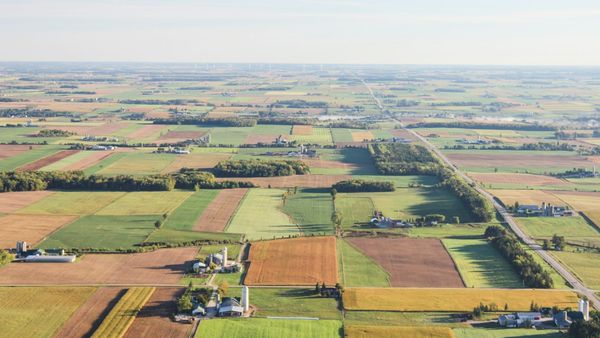 Emerging Trends: Practical Implications of De-Urbanization