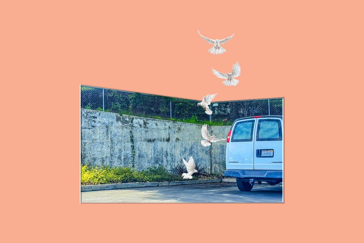 If you get birdies, you're flying