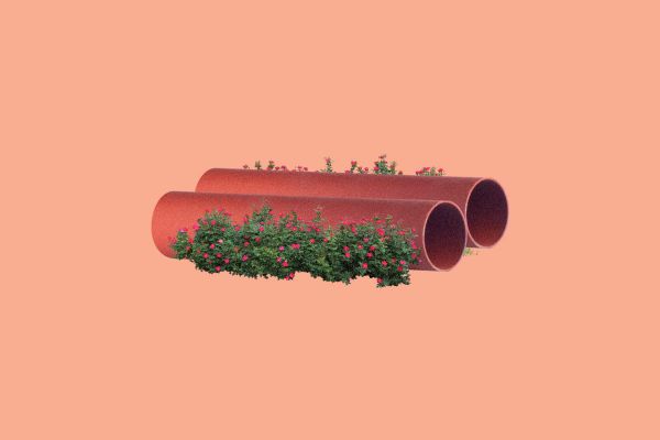 Tunnel visions