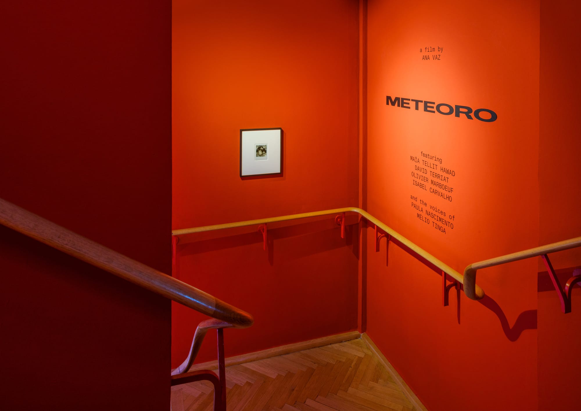 An exhibition hallway with stairs, painted in dark orange, with the title Meteoro printed on a wall, and with a small framed photograph on another wall.