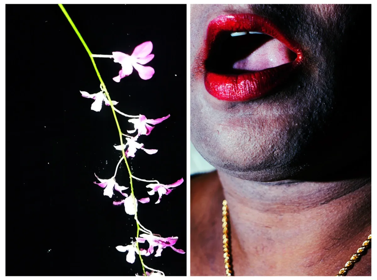 An image in two halves, with a stem of flowers on the left and a figure with only the lower half of their face visible, with an open mouth with lipstick, on the right.