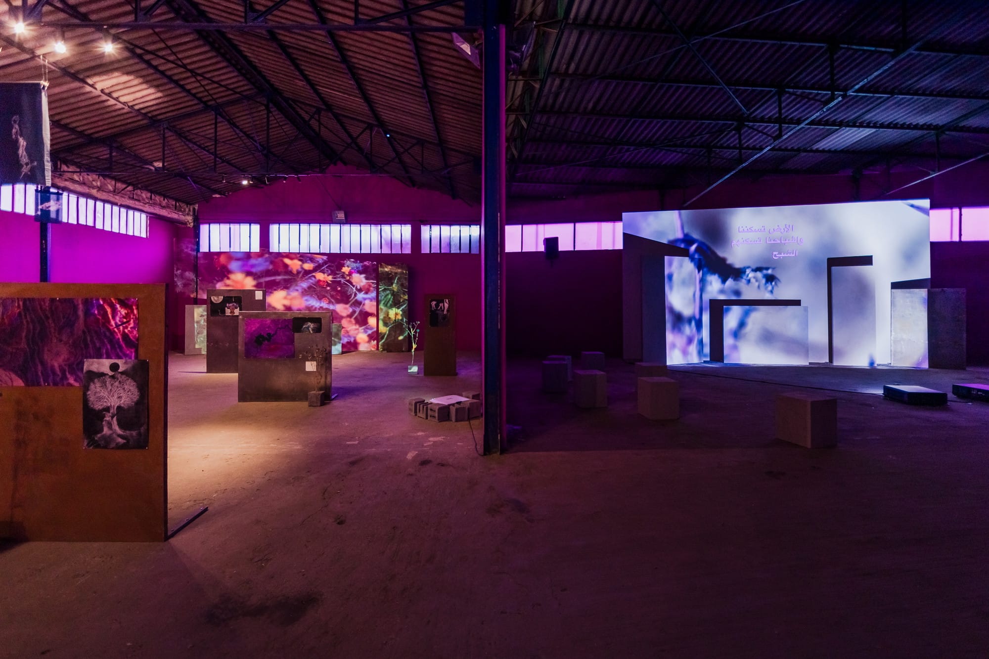 An exhibition space in low, purple light with video installations projecting images on the walls.
